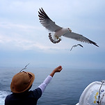 카페 프로필 이미지