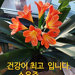 카페 프로필 이미지
