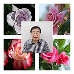 카페 프로필 이미지
