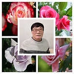 카페 프로필 이미지