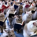 카페 프로필 이미지