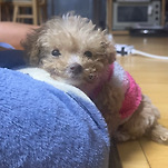 카페 프로필 이미지