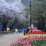 카페 프로필 이미지