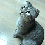 카페 프로필 이미지