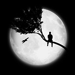 카페 프로필 이미지