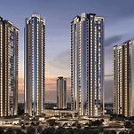 카페 프로필 이미지