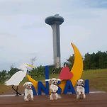 카페 프로필 이미지