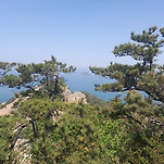 카페 프로필 이미지