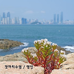 카페 프로필 이미지