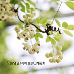 카페 프로필 이미지