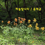카페 프로필 이미지