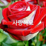 카페 프로필 이미지