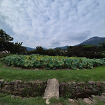 카페 프로필 이미지