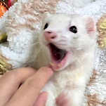 카페 프로필 이미지