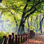 카페 프로필 이미지