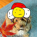 카페 프로필 이미지