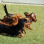 카페 프로필 이미지