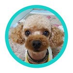 카페 프로필 이미지