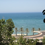 카페 프로필 이미지