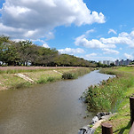 카페 프로필 이미지