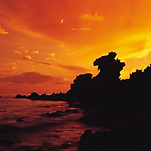 카페 프로필 이미지