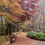 카페 프로필 이미지