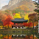 카페 프로필 이미지