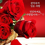 카페 프로필 이미지