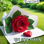 카페 프로필 이미지
