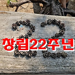 카페 프로필 이미지