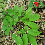 카페 프로필 이미지