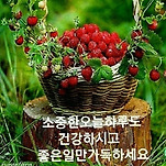 카페 프로필 이미지