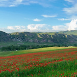 카페 프로필 이미지