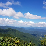 카페 프로필 이미지