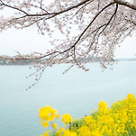 카페 프로필 이미지