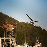 카페 프로필 이미지