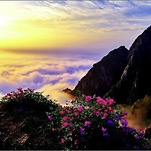 카페 프로필 이미지