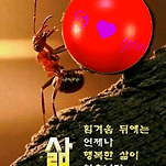 카페 프로필 이미지