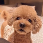 카페 프로필 이미지