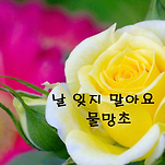 카페 프로필 이미지