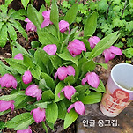 카페 프로필 이미지