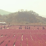 카페 프로필 이미지