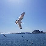 카페 프로필 이미지