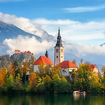 카페 프로필 이미지