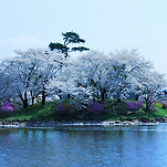 카페 프로필 이미지