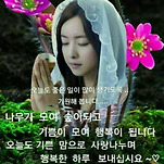 카페 프로필 이미지