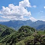 카페 프로필 이미지