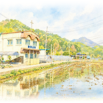 카페 프로필 이미지