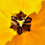 카페 프로필 이미지