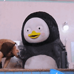 카페 프로필 이미지